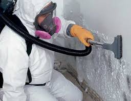 Best Basement Mold Removal  in Penn Estates, PA